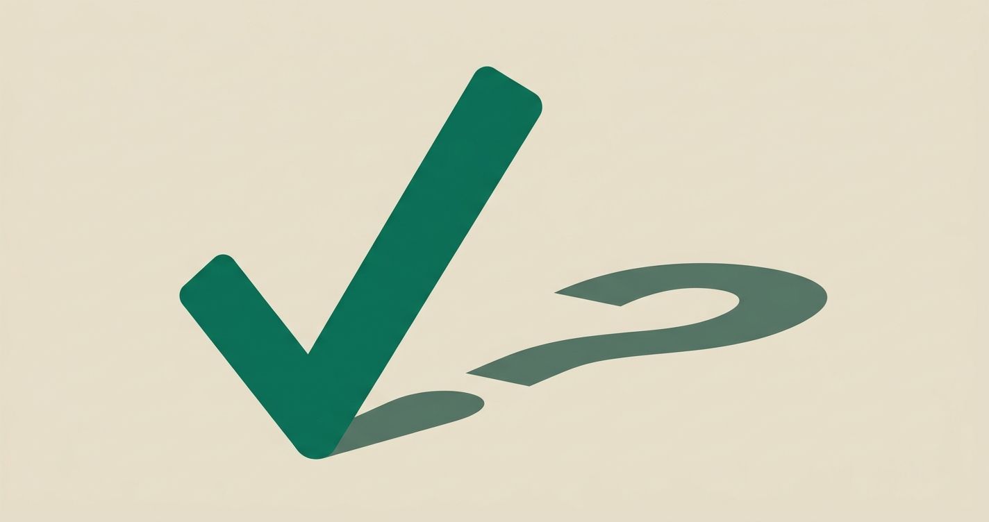 Looks Correct ≠ Being Correct